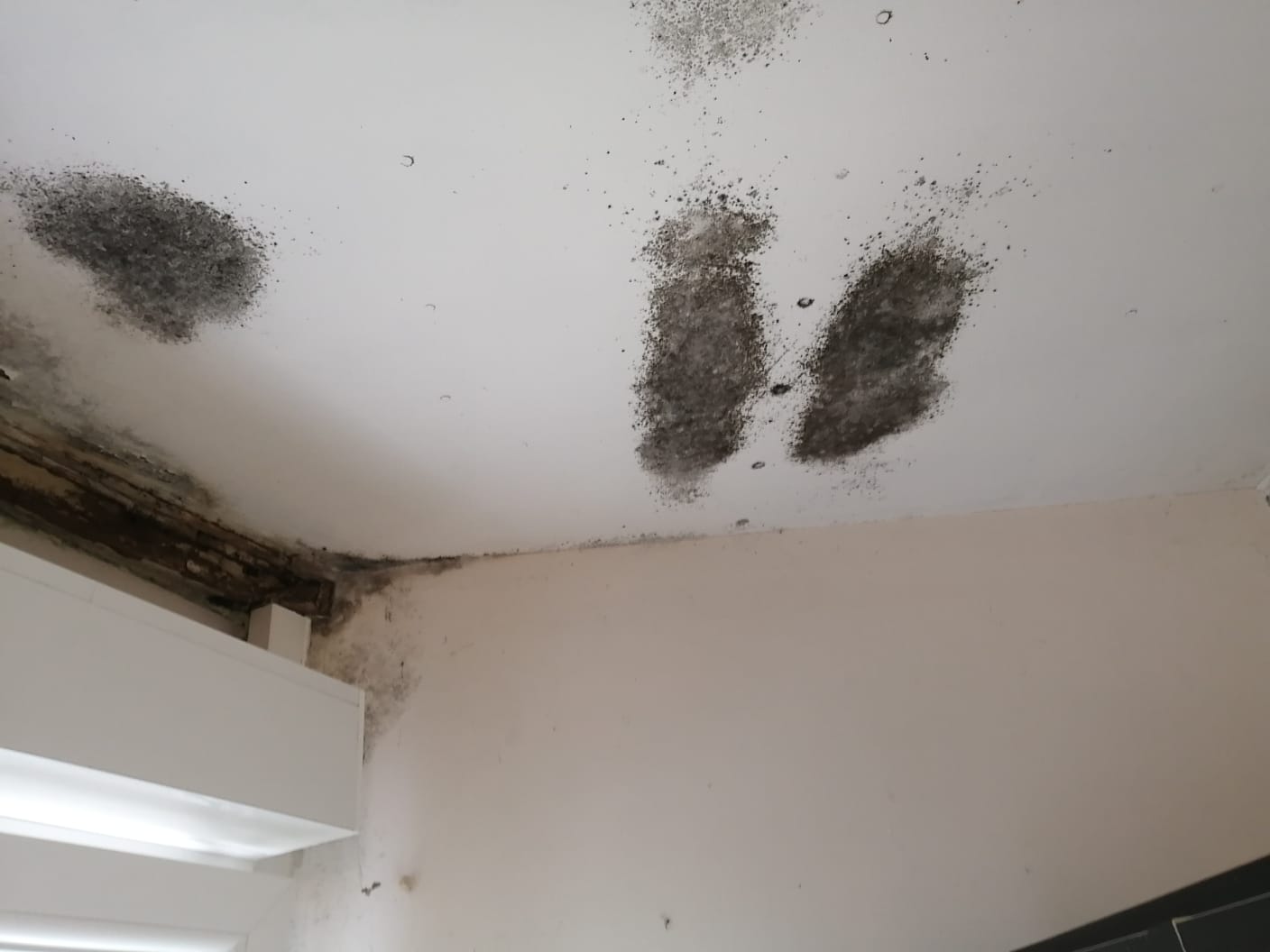 rénovation maison Moselle Sarreguemines - isolation combles Moselle Forbach - travaux toiture Moselle Thionville - couverture toiture zinc Moselle Metz - traitement humidité bâtiment Moselle Sarreguemines - étanchéité toiture Moselle Forbach - pose Velux Moselle Thionville - traitement charpente Moselle Metz - traitement façade et ravalement Moselle Sarreguemines - gouttières zinguerie Moselle Forbach - réparation toiture dégâts infiltration Moselle Thionville - démoussage toiture Moselle Metz - artisan rénovation local Moselle Sarreguemines - avis clients rénovation Moselle Forbach - chantier rénovation avant-après Moselle Thionville - devis rénovation maison Moselle Metz - expert rénovation thermique Moselle Sarreguemines - isolation laine soufflée Moselle Forbach - étanchéité membrane toiture Moselle Thionville
