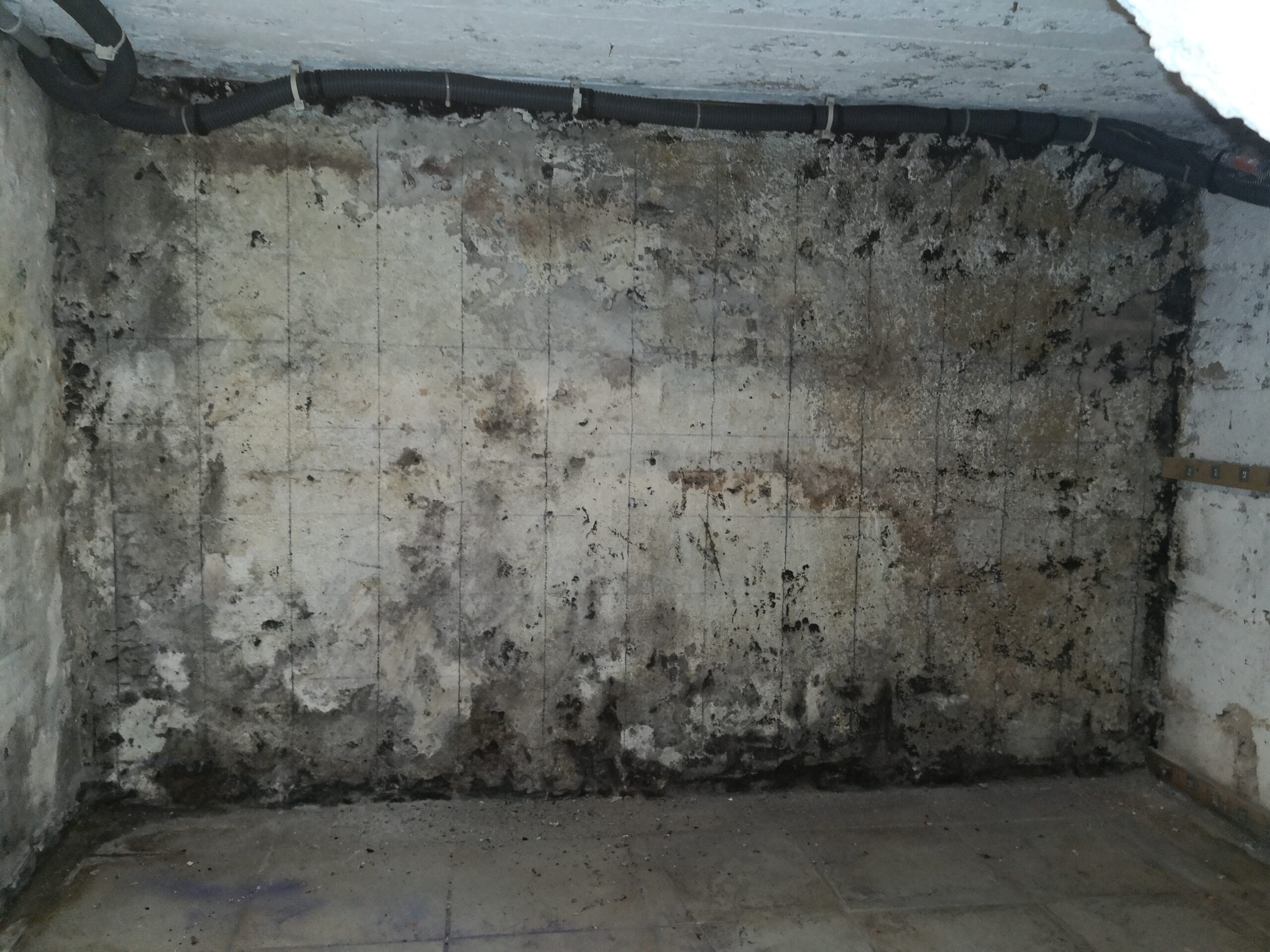rénovation maison Moselle Sarreguemines - isolation combles Moselle Forbach - travaux toiture Moselle Thionville - couverture toiture zinc Moselle Metz - traitement humidité bâtiment Moselle Sarreguemines - étanchéité toiture Moselle Forbach - pose Velux Moselle Thionville - traitement charpente Moselle Metz - traitement façade et ravalement Moselle Sarreguemines - gouttières zinguerie Moselle Forbach - réparation toiture dégâts infiltration Moselle Thionville - démoussage toiture Moselle Metz - artisan rénovation local Moselle Sarreguemines - avis clients rénovation Moselle Forbach - chantier rénovation avant-après Moselle Thionville - devis rénovation maison Moselle Metz - expert rénovation thermique Moselle Sarreguemines - isolation laine soufflée Moselle Forbach - étanchéité membrane toiture Moselle Thionville